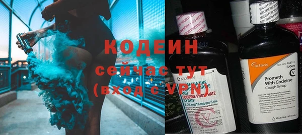 мдпв Ельня