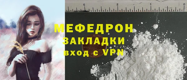 мдпв Ельня
