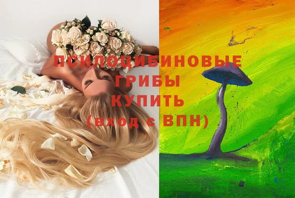мдпв Ельня
