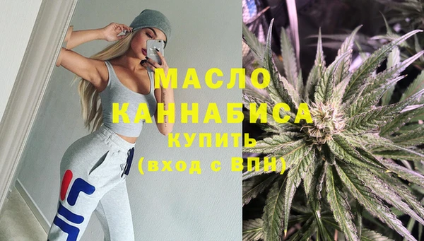 мдпв Ельня
