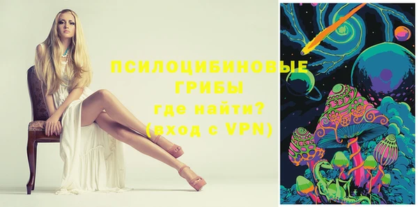 мдпв Ельня