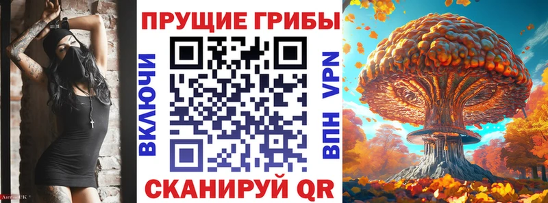 Псилоцибиновые грибы прущие грибы  Уссурийск 